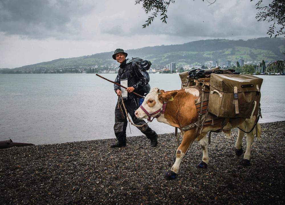 Rorschach Goldach - Gaetan Dübel ist mit seinem Kalb Léo quer durch die Schweiz gewandert.